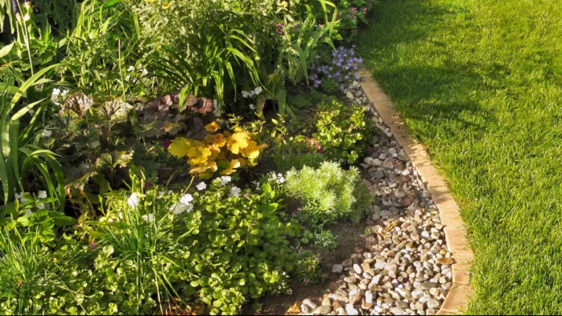 حوّل مساحتك الخارجية باستخدام أفكار تنسيق الحدائق بالحصى