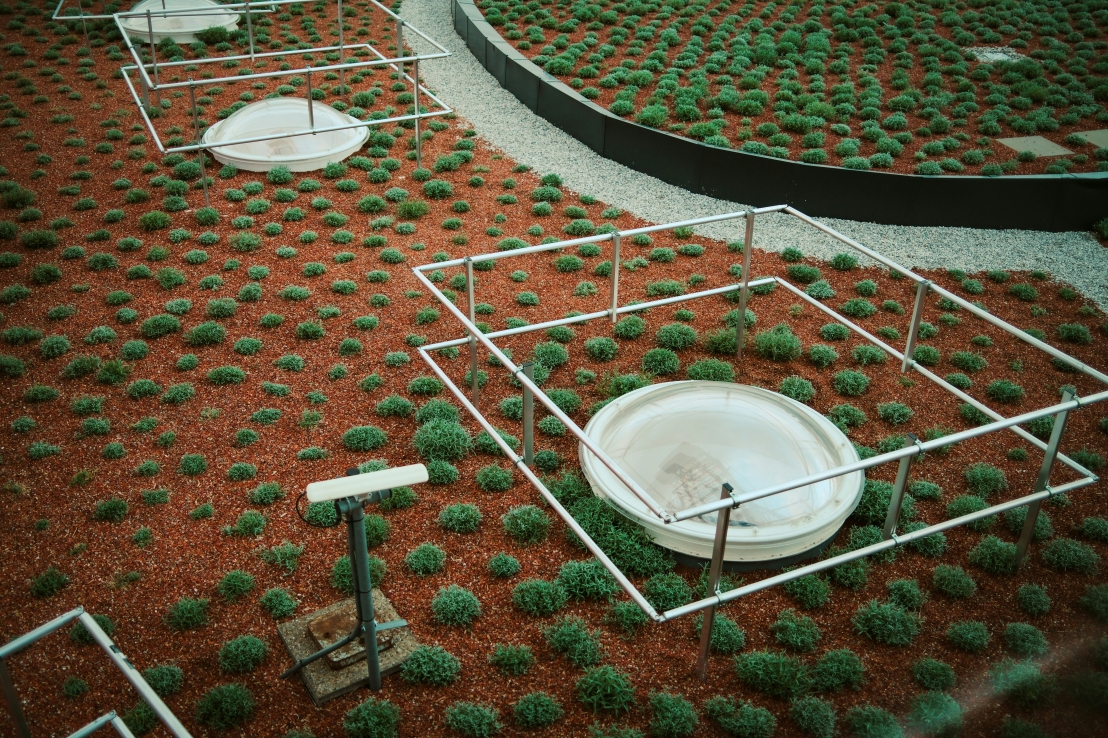 النباتات في الفضاء: كيف تزرع ناسا الحياة خارج الأرض