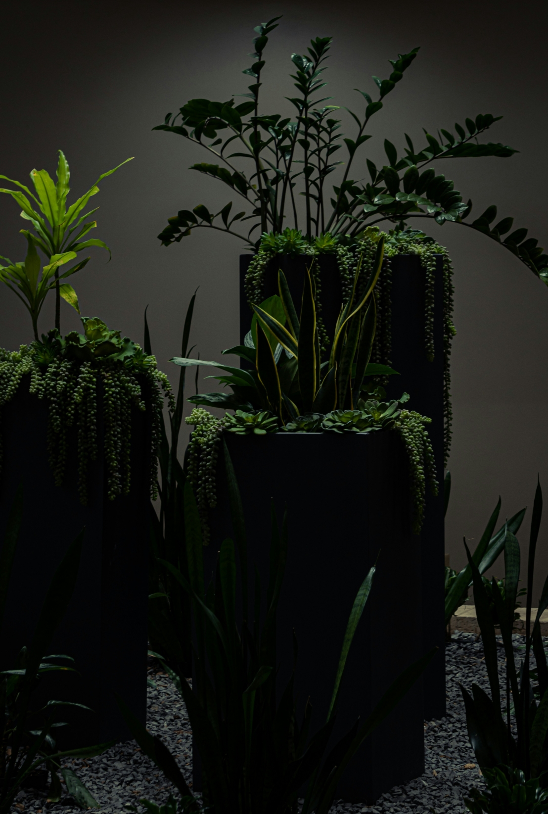 كيف تتكيف النباتات مع البيئات القاسية – استراتيجيات بقاء النباتات