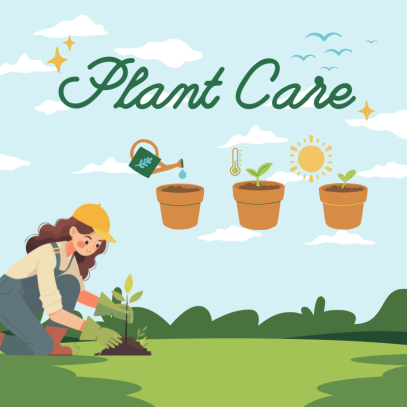 Plant Care : Tips and how to