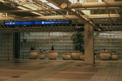 The Role of Plants in Air Purification – Nature’s Natural Air Filters