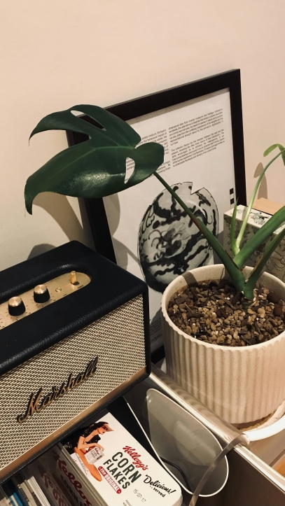 Can Plants Hear Music? The Surprising Science Behind Sound and Growth