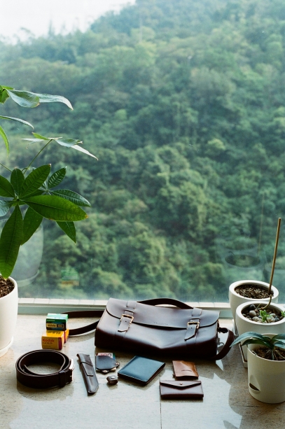 The Healing Power of Plants – Nature’s Pharmacy in Your Garden