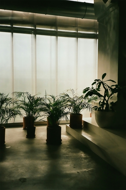 The Importance of Soil Quality – How Healthy Soil Supports Plant Growth